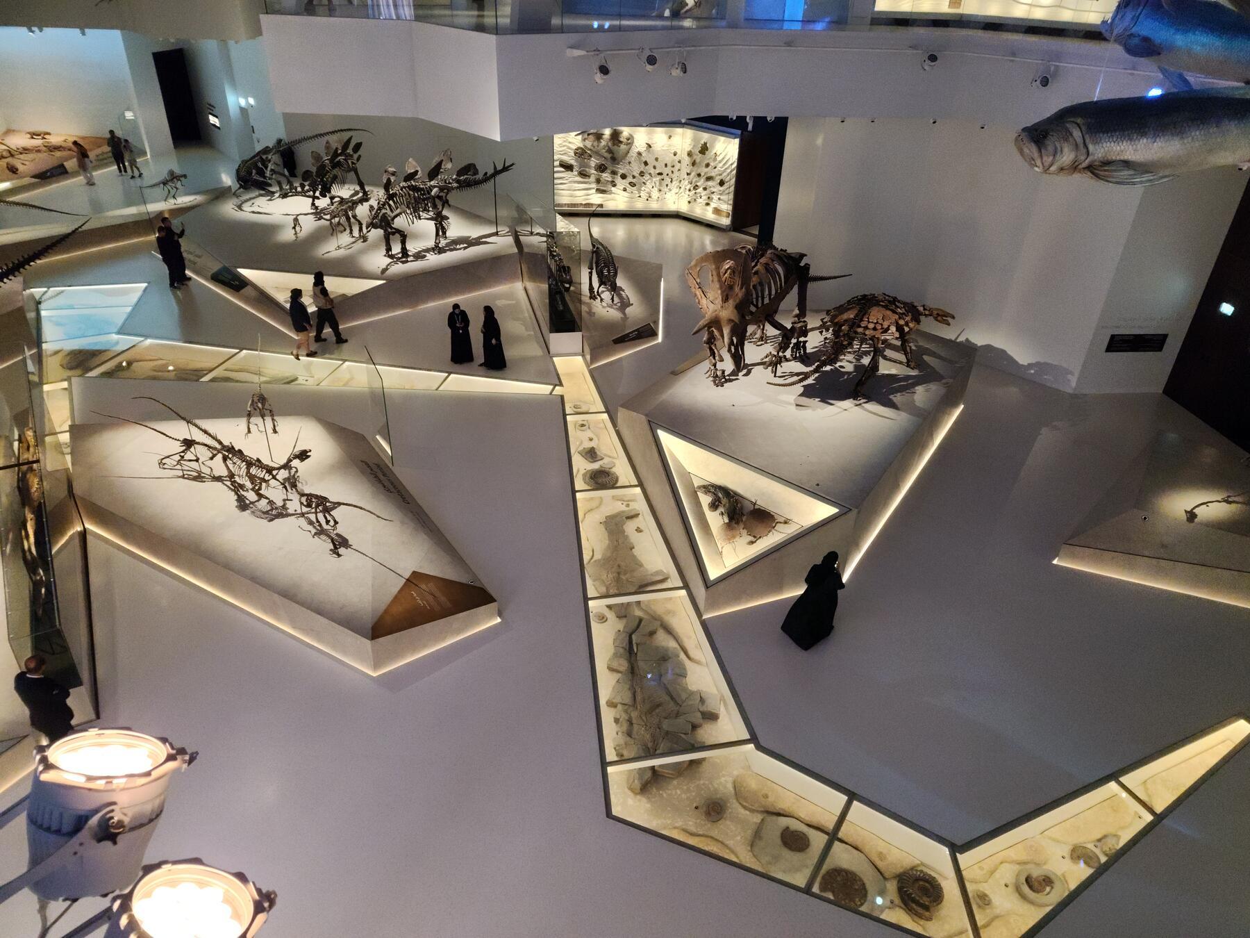 Natural History Museum